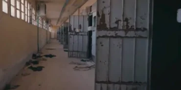 Fahrettin Altun'dan "Surviving Assad" paylaşımı haberi