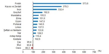 Fındık yeterlilik derecesinde zirvede haberi