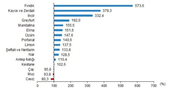 Fındık yeterlilik derecesinde zirvede haberi