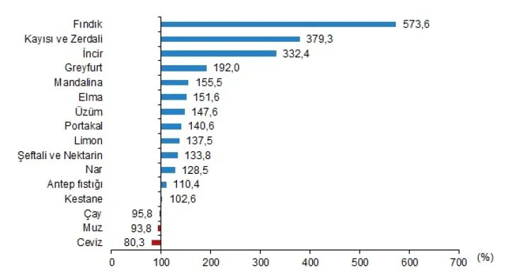Fındık yeterlilik derecesinde zirvede haberi