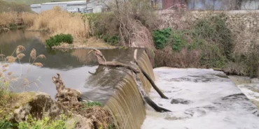 Gemlik Kent Konseyi: Karsak Deresi temiz aksın! haberi