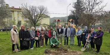 Gölcük'te Orman Haftasında Zeytin Ağaçları Toprakla Buluştu haberi