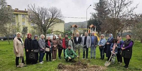 Gölcük'te Orman Haftasında Zeytin Ağaçları Toprakla Buluştu haberi
