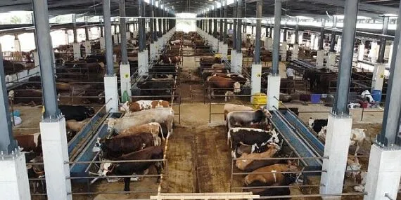 İnegöl Hayvan Pazarı’nın Kotra İhale Tarihi Belli Oldu haberi