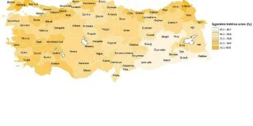 İşgücü İstatistikleri, 2024 haberi