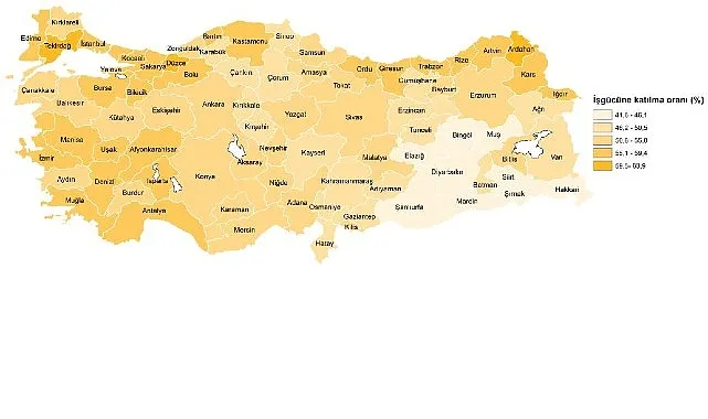 İşgücü İstatistikleri, 2024 haberi