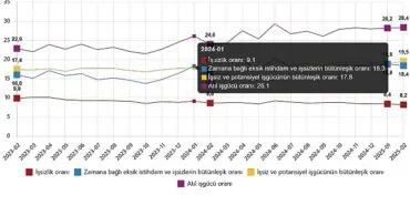 İşgücü İstatistikleri, Şubat 2025 haberi