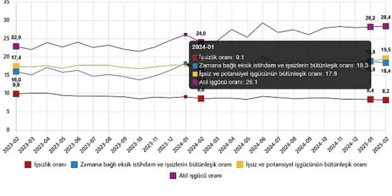 İşgücü İstatistikleri, Şubat 2025 haberi