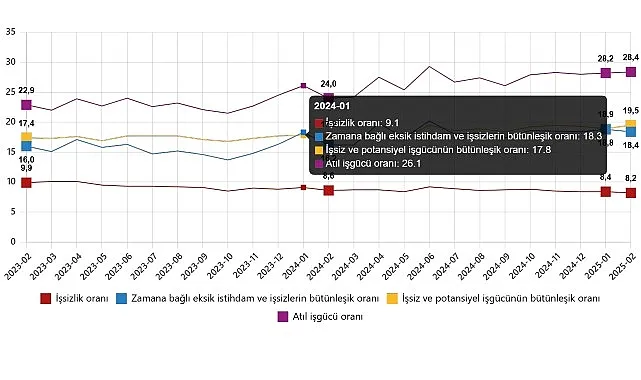İşgücü İstatistikleri, Şubat 2025 haberi