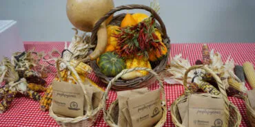 İzmir Bornova'dan ekolojik tarıma destek haberi