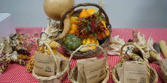 İzmir Bornova'dan ekolojik tarıma destek haberi