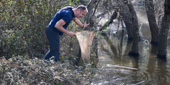 İzmir Bornova’nın doğal zenginliği gün yüzüne çıkıyor haberi