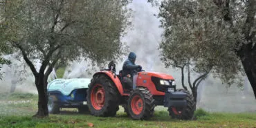 İzmir Büyükşehir zeytin üreticisine 'ilaç' oldu... İzmir kutsal ağaca 'ilaç' oldu haberi