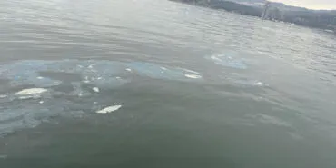 İzmir Körfezi'ni kirleten firmaya 8,3 milyon TL ceza haberi