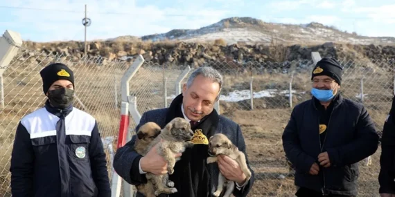Kayseri Talas'a Türkiye'ye örnek Pati Evi haberi