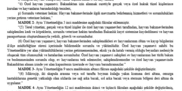 Kimliklendirilmeler yıl sonuna uzatıldı! haberi