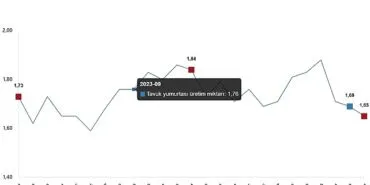 Kümes Hayvancılığı Üretimi, Ocak 2025 haberi