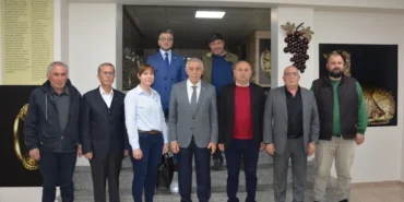 Manisa Salihli'de zeytinyağına coğrafi işaret hazırlığı haberi