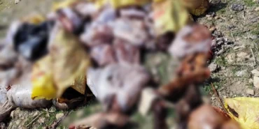 Mardin Yeşilli’den 'kaçak et kesimi' iddialarına yanıt haberi