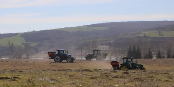 Meralarda verim 4 katına çıkacak haberi