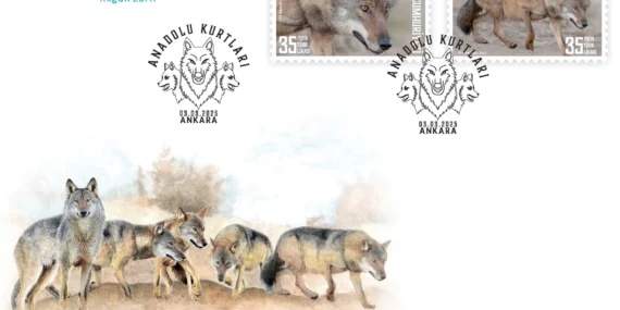 PTT'den yeni tematik pul haberi