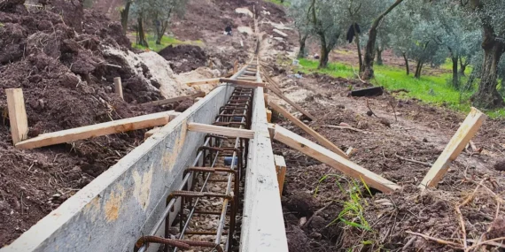 Patili canlar yeni yuvalarına kavuşuyor haberi