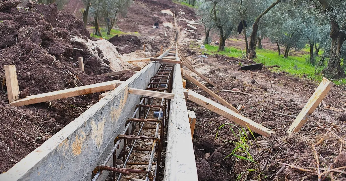 Patili canlar yeni yuvalarına kavuşuyor haberi