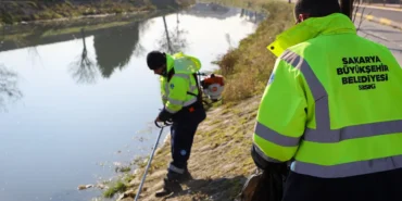 Sakarya'da Çark Deresi’nde bahar temizliği başladı haberi