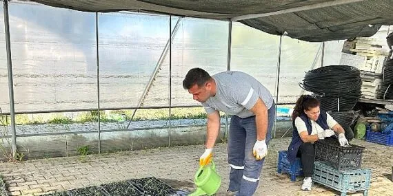 Seferihisar Belediyesi Tohum Takas Şenliği’ne hazırlanıyor haberi