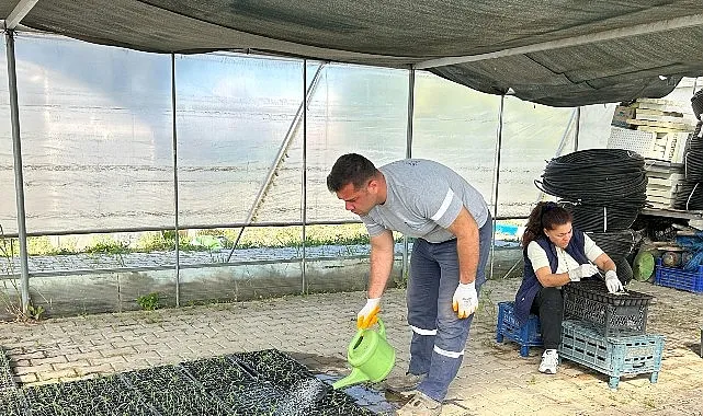 Seferihisar Belediyesi Tohum Takas Şenliği’ne hazırlanıyor haberi