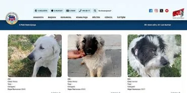 Sıcak Yuvalara Dijital Köprü: E-Pati Kemalpaşa haberi