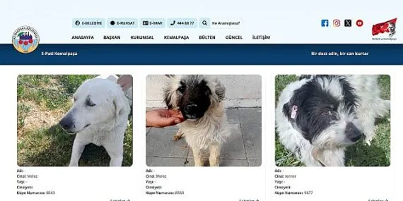 Sıcak Yuvalara Dijital Köprü: E-Pati Kemalpaşa haberi