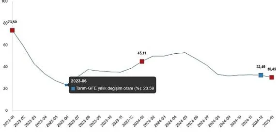 Tarımsal Girdi Fiyat Endeksi, Ocak 2025 haberi