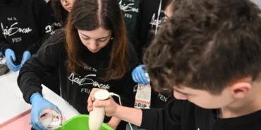 Tohum bombaları toprakla buluşacak haberi