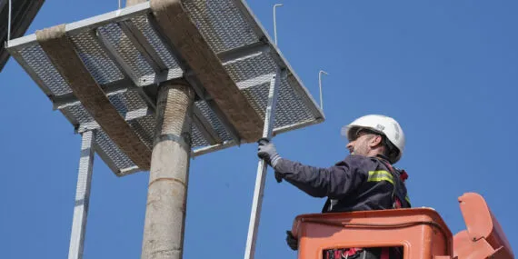 UEDAŞ elektrik direklerini can dostları için hazırladı haberi