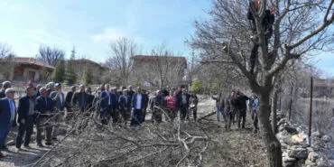 Yabani sakız ağaçları Ankara fıstığı olacak! haberi
