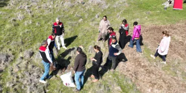 Yarımada kadınları sakız ağacına can katıyor haberi