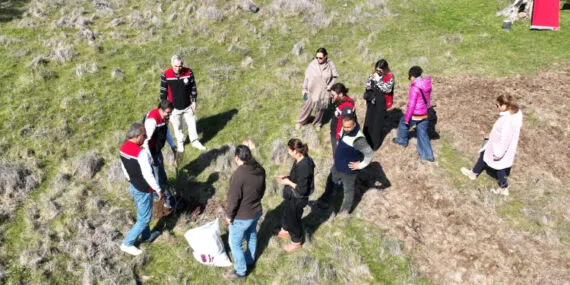 Yarımada kadınları sakız ağacına can katıyor haberi