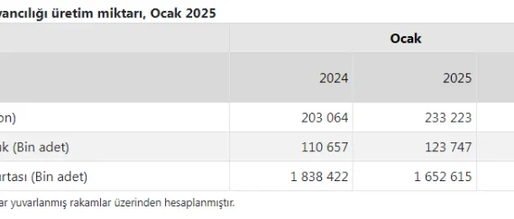 Yumurta üretimi azaldı!  Tavuk eti üretimi arttı! haberi