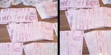 42 ilde 169 FETÖ'cüye gözaltı! haberi