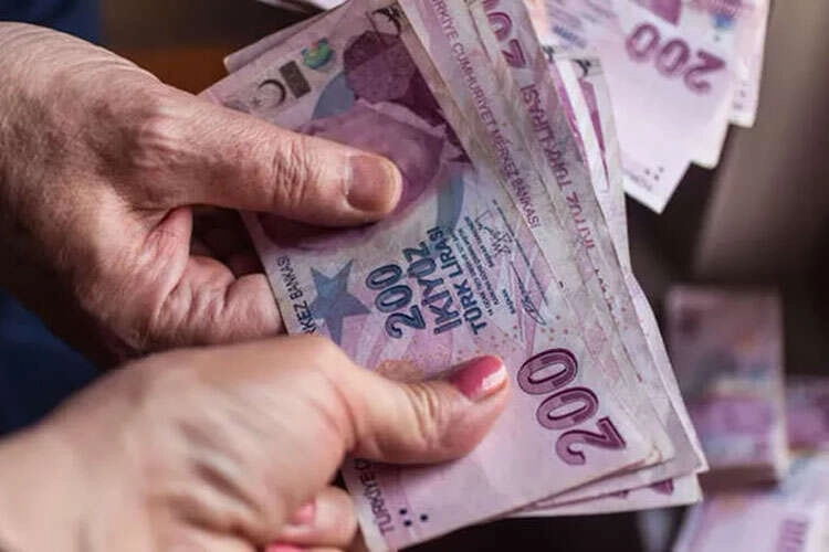 6,3 milyar TL'lik yaşlı ve engelli aylıkları hesaplarda haberi