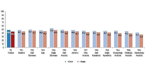 Aktif Yaşlanma Endeksi, 2024 haberi