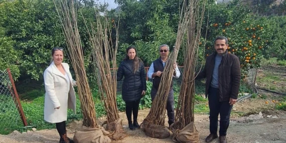 Antalya Büyükşehir’den dut fidanı desteği haberi