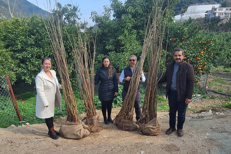 Antalya Büyükşehir’den dut fidanı desteği haberi