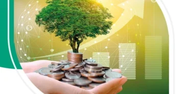 Bankalar 'yeşil varlık oranını' raporlaştıracak haberi