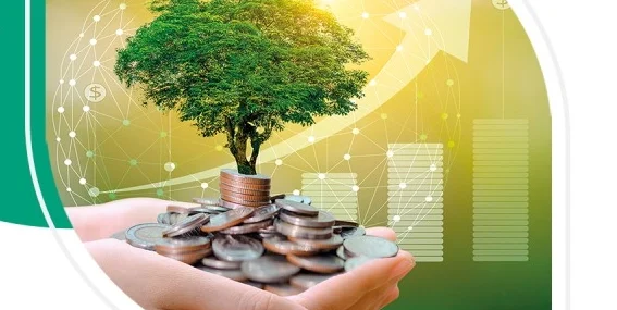 Bankalar 'yeşil varlık oranını' raporlaştıracak haberi