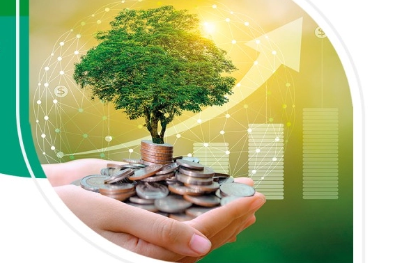 Bankalar 'yeşil varlık oranını' raporlaştıracak haberi