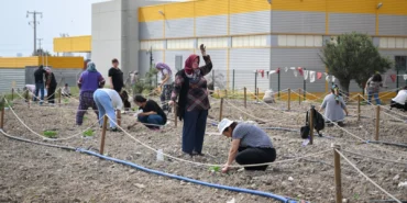 Bornova'da toprakta dayanışma, sofralarda umut haberi