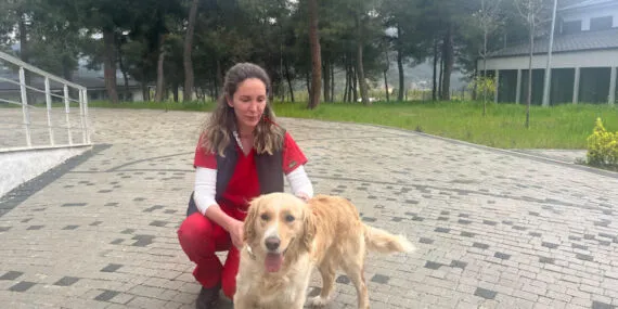 Bursa Büyükşehir tatilde de can dostların yanında haberi