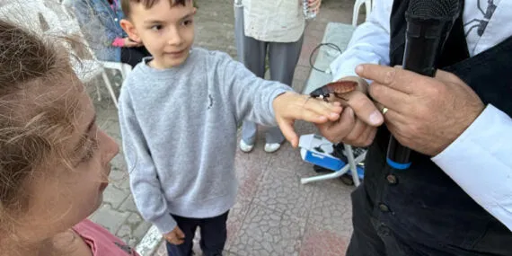 Bursa Osmangazi'de ‘Böcek Bilim’ buluşması yapıldı haberi